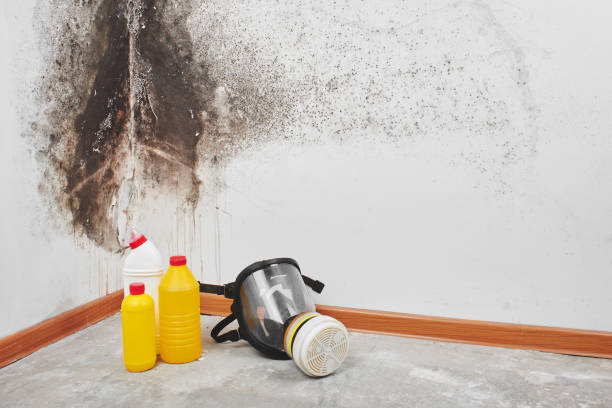 Best Mold Prevention Services  in Anderson, CA